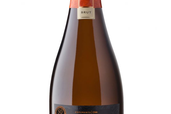 Undurraga Brut