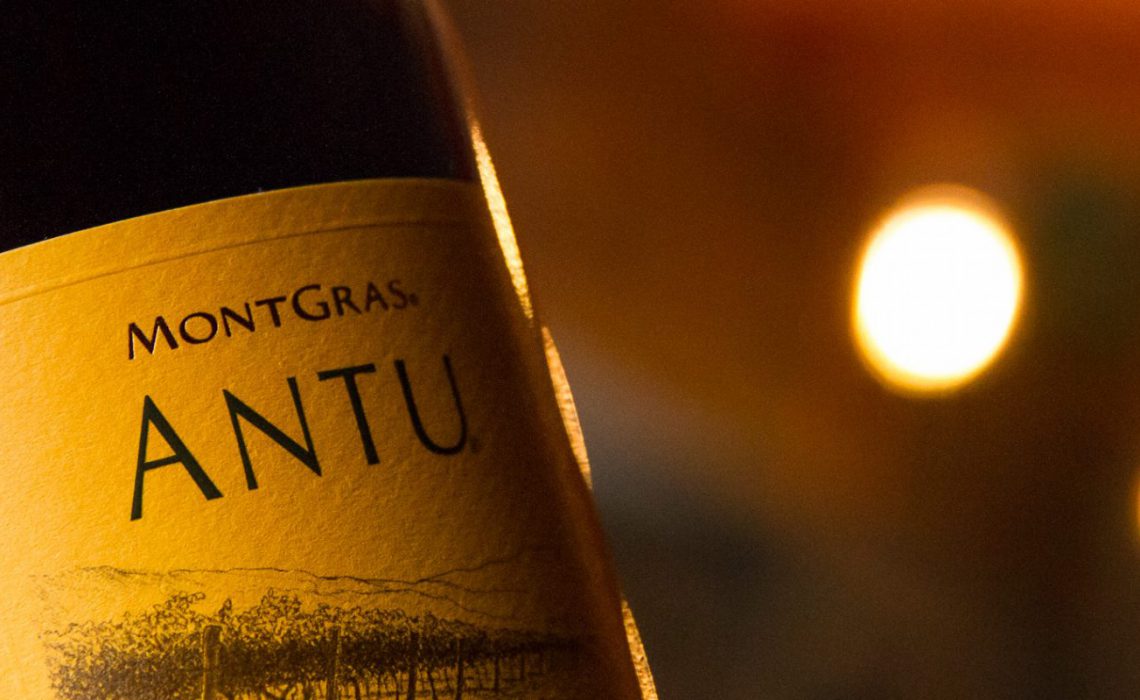 MontGras Carmenere Antu