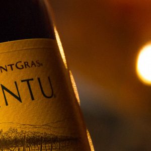 MontGras Carmenere Antu