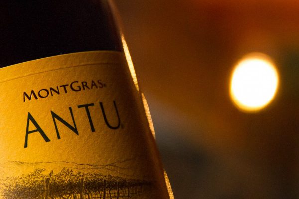 MontGras Carmenere Antu