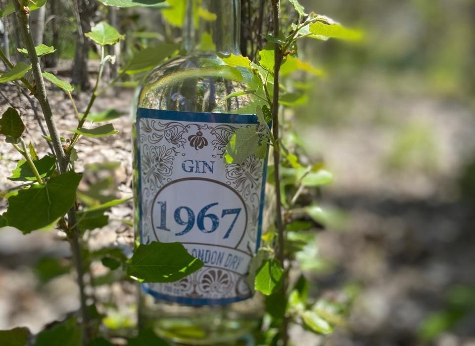 SUPERMERCADO DIEZ celebra su aniversario con nuevo Gin Chileno “1967”