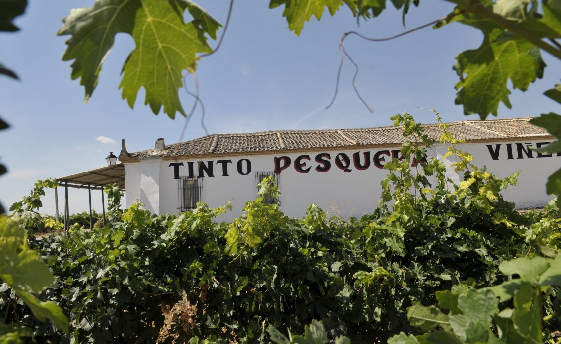 «Tinto Pesquera», un vino referente en Ribera del Duero, España.