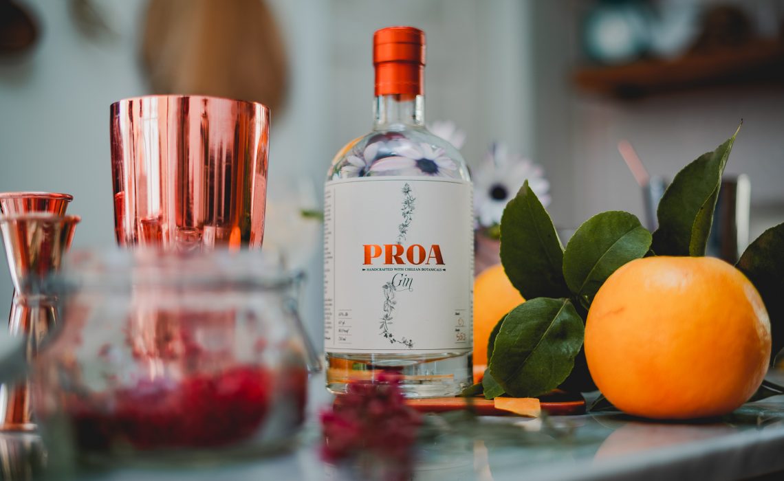 Gin Proa, destilado chileno 100% de calidad