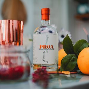 Gin Proa