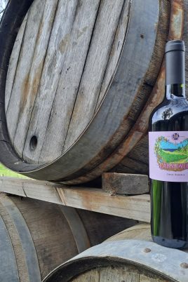 casa marin carmenere
