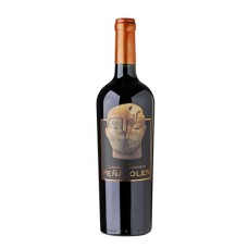 Peñalolén Cabernet Sauvignon 750 cc