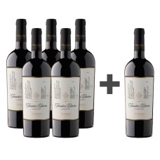 Caja  6 botellas Founders Collection Carmenere (PAGUE 5, LLEVE 6) 5*6