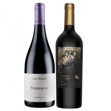 Pack 3 botellas Presumido Carmenere + 3 Odfjell Aliara Ensamblaje ($14.990 c/u)