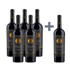 Caja de 6 unidades Cordillera Carmenere, Miguel Torres 5*6 (PAGUE 5, LLEVE 6)