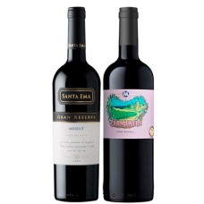 Pack 6 botellas Santa Ema Gran Reserva Merlot + 6 Casa Marin Lo Abarca GR Carmenere ($4.990 c/u) 