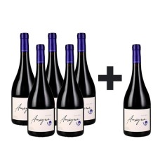 Caja de 6 Amayna Pinot Noir 5*6 (PAGUE 5, LLEVE 6) 