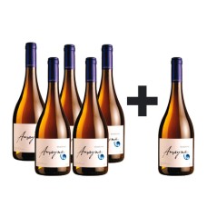Caja de 6 Amayna Chardonnay  5*6 (PAGUE 5, LLEVE 6)