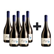 Caja de 6 Amayna Syrah 5*6 (PAGUE 5, LLEVE 6) 