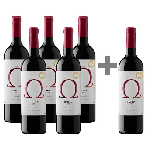Caja de 6 unidades Omega, Viña Vik , Carmenere 5*6 ( PAGUE 5, LLEVE 6)