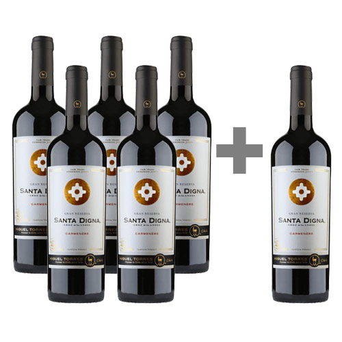 Caja 6 unidades Santa Digna Gran Reserva Carmenere ($4.991 c/u) 5*6