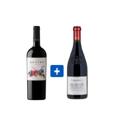 Pack 6 botellas Gran Reserva Tarapacá Carmenere + 6 Montgras Quatro ($4.990 c/u)