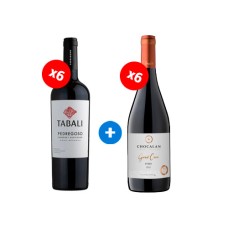 Pack 6 botellas Tabali Gran Reserva Pedregoso Cabernet Sauvingnon + 6 botellas Chocalan Grand Cuvée Syrah ($4.990 c/u)