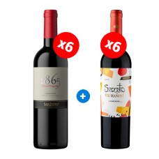 Pack 6 botellas San Pedro 1865,  Carmenere + 6 Viu Manet Secreto Gran Reserva, Malbec  ($6.990 c/u) 