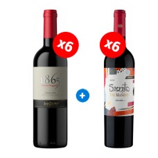 Pack 6 botellas San Pedro 1865,  Carmenere + 6 Viu Manet Secreto Gran Reserva, Malbec  ($6.990 c/u) 