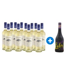12 Botellas de Casas del Bosque Collection Sauvignon Blanc + Sangria LOLA Regalo (Semanal)