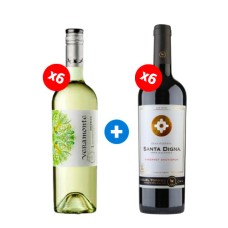 Pack 6 Botellas Veramonte Reserva Sauvignon Blanc +  6 Botellas Miguel Torres Digna Cabernet Sauvignon ($3.990 c/u)