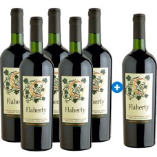 Caja de 6 Flaherty Aconcagua (PAGUE 5, LLEVE 6)