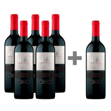 Caja de 6 Botellas 1865 San Pedro Malbec (PAGUE 5, LLEVE 6) ($8.983 c/u)