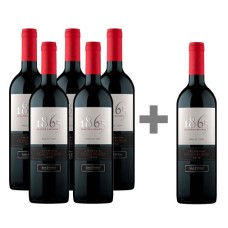 Caja de 6 Botellas 1865 San Pedro Merlot (PAGUE 5, LLEVE 6) ($8.983 c/u)