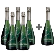 Pack 6 botellas Espumantes Navarro Correas Nature 750cc (Pague 5 Lleve 6) ($ 9.158 c/u) Pack 6 botellas Espumantes Navarro Correas Nature 750cc (Pague 5 Lleve 6) ($ 9.158 c/u)