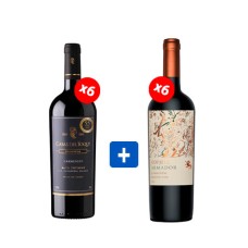 Pack 6 botellas Armador Odjfell Carmenere + 6 Casas del Toqui Reserva Carmenere ($3.990 c/u) Pack 6 botellas Armador Odjfell Carmenere + 6 Casas del Toqui Reserva Carmenere ($3.990 c/u)