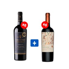 Pack 6 botellas Armador Odjfell Cabernet Sauvignon + 6 Casas del Toqui Reserva Carmenere ($3.990 c/u) Pack 6 botellas Armador Odjfell Cabernet Sauvignon + 6 Casas del Toqui Reserva Carmenere ($3.990 c/u)