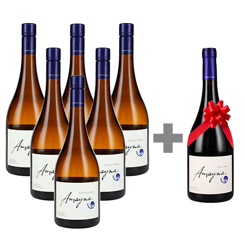 Pack 6 Amayna Sauvignon Blanc + 1 Amayna Pinot Noir de Regalo Pack 6 Amayna Sauvignon Blanc + 1 Amayna Pinot Noir de Regalo