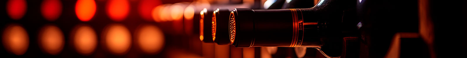 Oportunidades Oportunidades