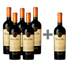 Caja 6 unidades Casa Silva Gran Terroir de los Andes Carmenere 5*6 (PAGUE 5, LLEVE 6)