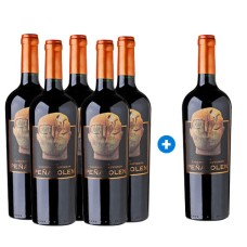 Caja 6 botellas Peñalolén Cabernet Sauvignon, 750 cc 5*6 (PAGUE 5, LLEVE 6) $12.4691 c/u