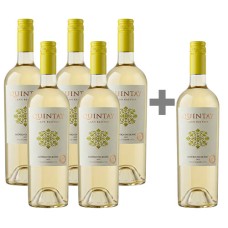 Caja de 6 unidades Quintay Gran Reserva Sauvignon Blanc (PAGUE 5, LLEVE 6) 5*6 Caja de 6 unidades Quintay Gran Reserva Sauvignon Blanc (PAGUE 5, LLEVE 6) 5*6
