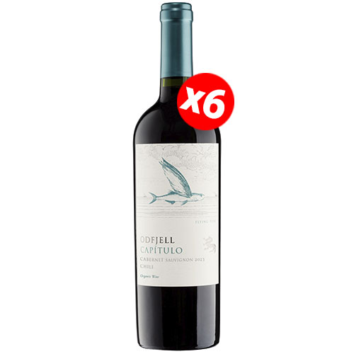 Caja de 6 botellas de Odfjell Capítulo Cabernet Sauvignon ($4.990 c/u) Caja de 6 botellas de Odfjell Capítulo Cabernet Sauvignon ($4.990 c/u)