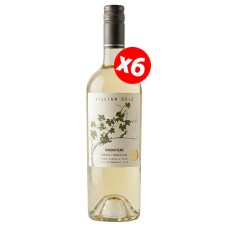Caja de 6 unidades William Cole Gran Reserva Sauvignon Blanc Edición Aniversario ($4.990 c/u) 
