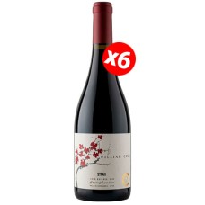 Caja de 6 unidades William Cole Gran Reserva Syrah Edición Aniversario ($4.990 c/u) Caja de 6 unidades William Cole Gran Reserva Syrah Edición Aniversario ($4.990 c/u)