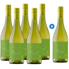 Caja de 6 Montgras Gran Reserva Sauvignon Blanc, Amaral Vineyard (Pague 5 y Lleve 6) Semanal