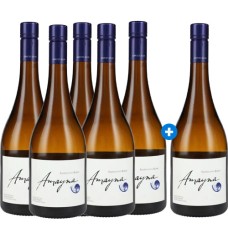 Caja de 6 Amayna Sauvignon Blanc (PAGUE 5, LLEVE 6) Caja de 6 Amayna Sauvignon Blanc (PAGUE 5, LLEVE 6)