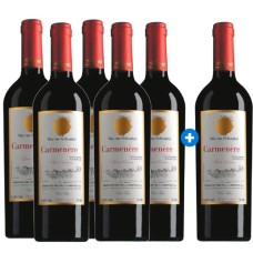 Caja de 6 Von Siebenthal Carmenere 750cc (PAGUE 5, LLEVE 6)