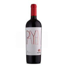 Tabalí Payen Syrah Vino Tinto – Valle del Limarí