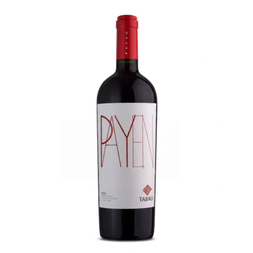 Tabalí Payen Syrah Vino Tinto – Valle del Limarí