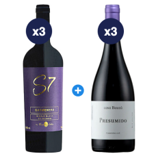 Pack 3 Casa Silva S7 Single Block Carmenère + 3 Casa Bauzá Presumido Carmenère