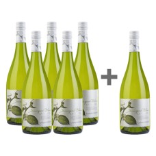 Caja 6 unidades La Cantera Sauvignon Blanc, Casas del Bosque 5*6 (PAGUE 5, LLEVE 6)