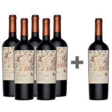 Caja 6 unidades Armador Odfjell Carmenere  5*6 (PAGUE 5, LLEVE 6)