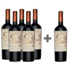 Caja 6 unidades Armador Odfjell Cabernet Sauvignon 5*6 (PAGUE 5, LLEVE 6)